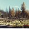 Grounds of Entrada Lodge, Bend OR