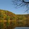 Fall Colors