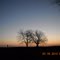 Sunrise near Thrall, TX
