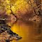 Ogden River Glow