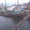 Logging Tug