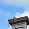 Local residents on the Duwamish.  The Osprey (Pandion haliaetus), The Osprey tolerates a wide variety of habitats, nesting in any location near a body of water providing an adequate food supply.