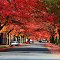 Dallas Ave, South Park, Seattle, Washington