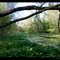 King Springs in the Spring