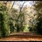 TVA Reservation Trail