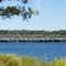 O'Neal Bridge from MacFarland Park on the Tennessee River