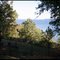 Wilson Lake