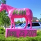 Horse of a Different Color