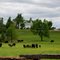Arkansas Scene