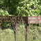 Lake Conasauga 5 miles