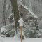 Winter Solstice