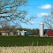Country Farm