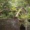 Danville-Mickles 1880 Bridge_AR_September 2006_004