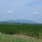 Mt Nebo from Dardanelle