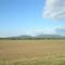 Mount Nebo from Highway 7 near Dardanelle