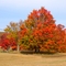 Fall Colors Near Comins
