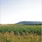 Killdeer Mountains