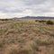 Sevilleta National Wildlife Refuge, New Mexico (Jul 2009)
