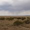 Sevilleta National Wildlife Refuge, New Mexico (Jul 2009)