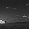 Crittenden County Arkansas - Sharecroppers Home