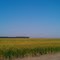 Crittenden County Arkansas Hwy 50