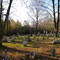 Lovely Cemetery