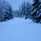 December 07 2 miles up FR4610