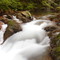 Rapids of Butter Creek