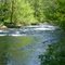 skate creek in gifford pinchot national forest