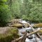 skate creek
