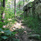 Round Top Mountain Trail Steps