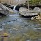 Chub Plinker Falls on Thomas Creek