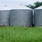 Grain Silos in Sunflower Fields