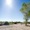 Colorado River Beach at Blythe, CA 360 - nwicon.com