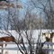 Daniel Stoica's Equine Neighbours