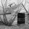 Neglected Barn