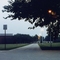 Aug 1989 - looking northwest along a walkway at Chanute