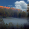 Foggy Valley