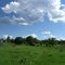 Illinois Prairie