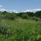 Prairie