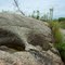 Kettle Holes (Glacial Pot Holes) in Granite Outcroppings - Hambdeca Trail - Morton, MN - September 2nd, 2011