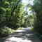 Clarkson Springs Road