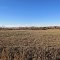 Alongside Shelton Rd., near its intersection with 340th Rd. (Neb. State Hwy. 2), looking north-westerly. Ravenna, Nebraska