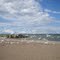 Seagull Frenzy at Hamlin Beach State Park,  NY
