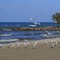 Hamlin Beach State Park, NY