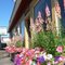 Flower Boxes At Gilford's Abbey Carpet