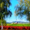 Olson Farm - Damascus
