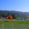 Herman (?) Farm - 9330 SE 242nd Ave