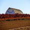 Barn behind field on the road to Damascus, Oregon.  October 5, 2012.