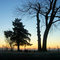 Arkansas Morning